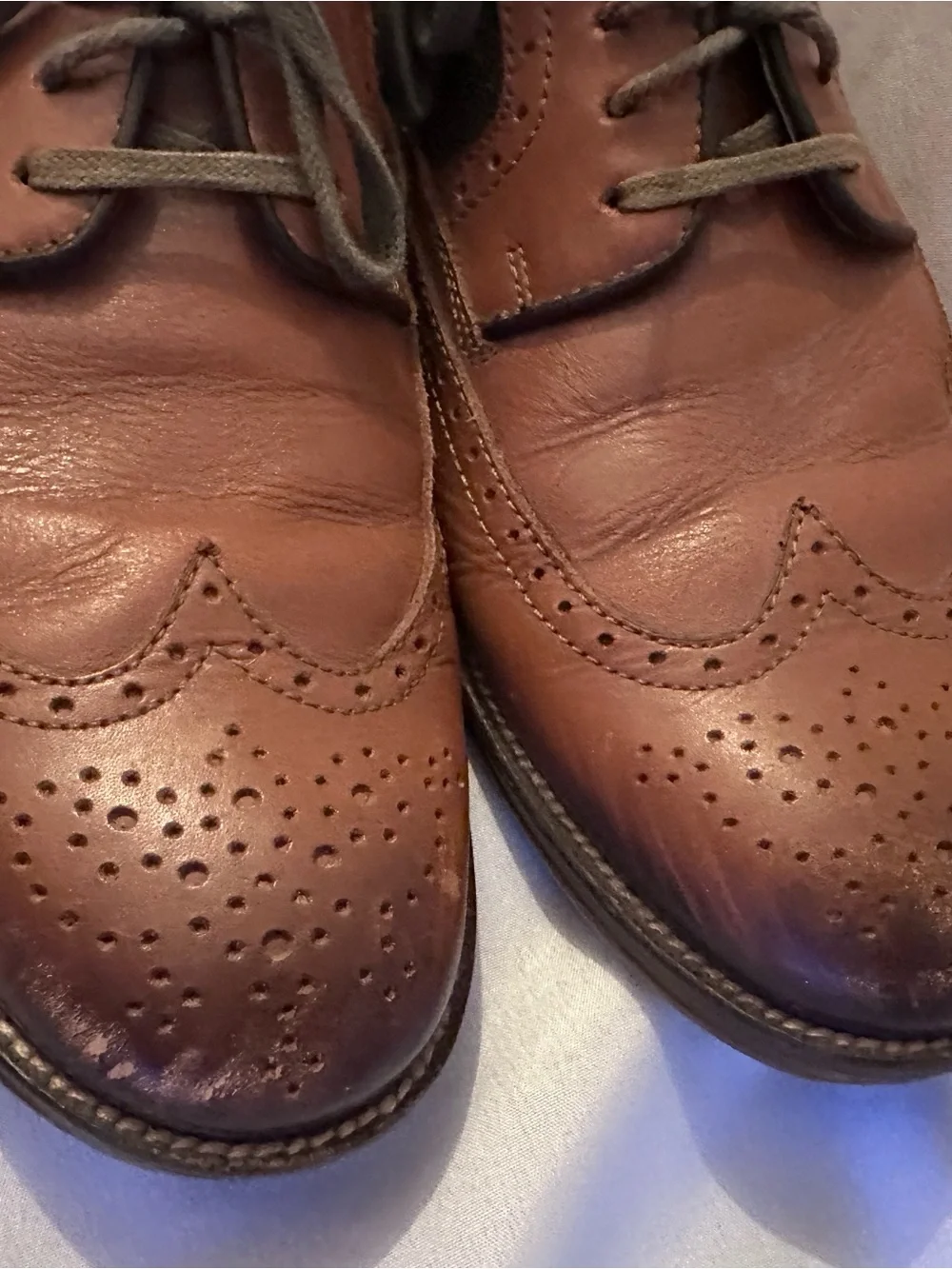 Johnston & Murphy Brown Leather Wingtip Oxfords with Olive Fabric Panels